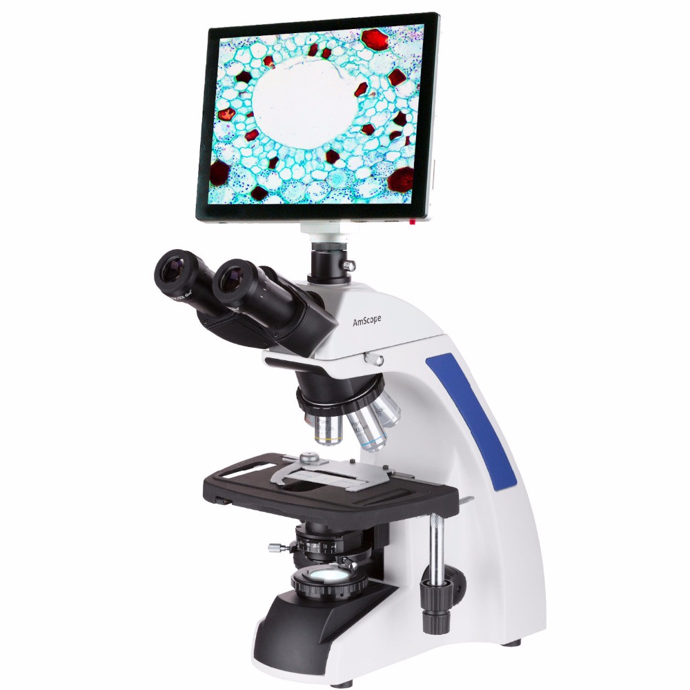 AmScope T720 Series Trinocular - Amscope Microscope Compound 40X-1000X review and price