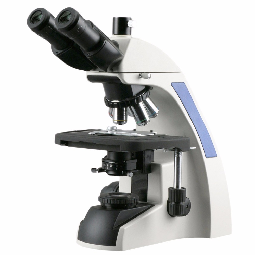 AmScope T720 Series Infinity-C - Amscope Microscope Compound 40X-1000X review and price