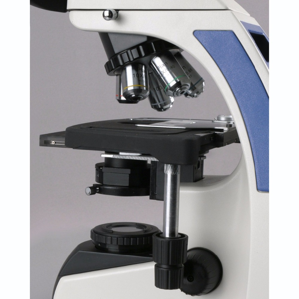 AmScope T720 Series Infinity-C - Amscope Microscope Compound 40X-1000X review and price