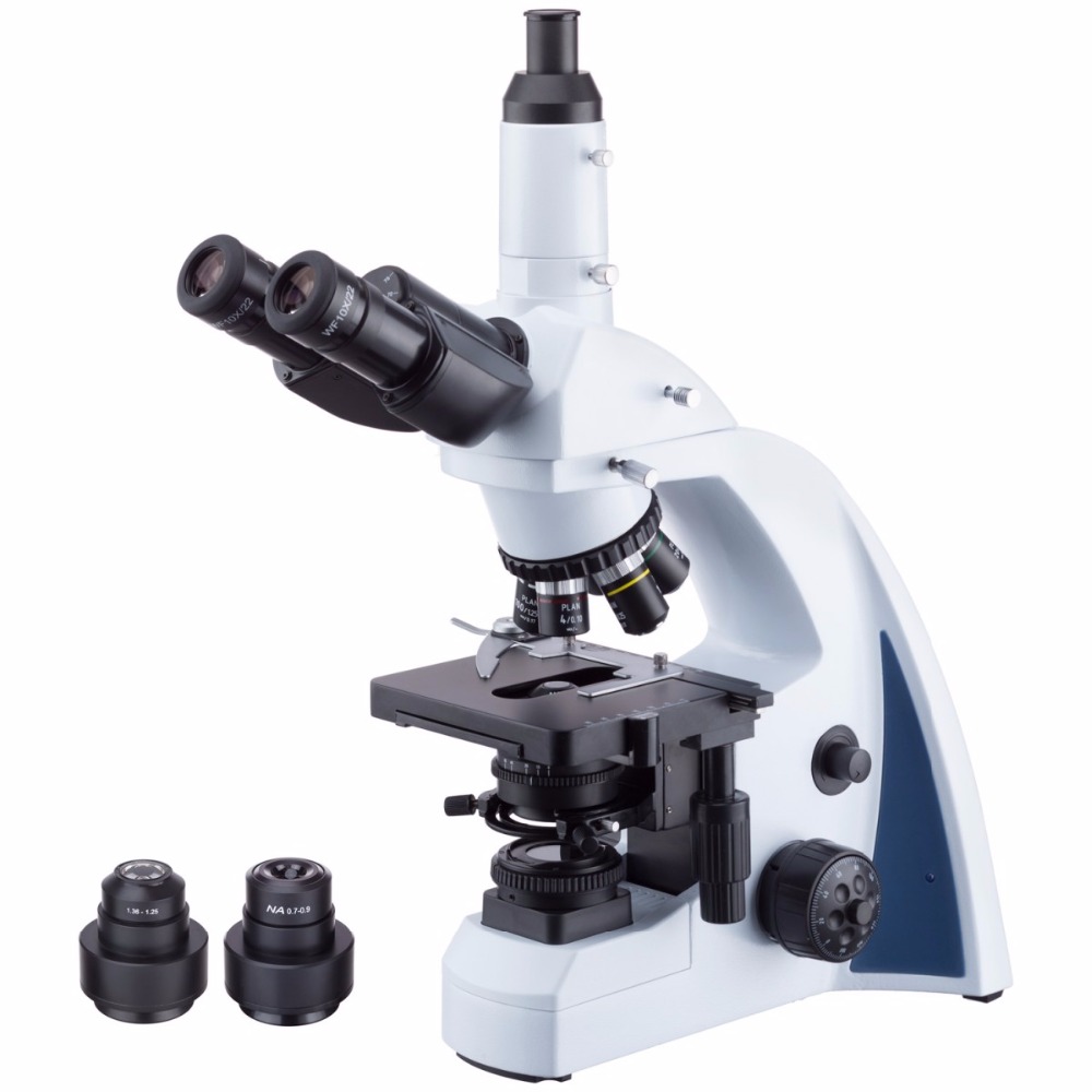 AmScope Infinity-corrected Dar - Amscope Microscope Compound 40X-1000X review and price