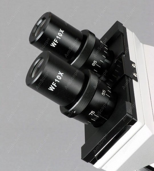 AmScope B100 Series Biological - Amscope Microscope Compound 40X-1000X review and price